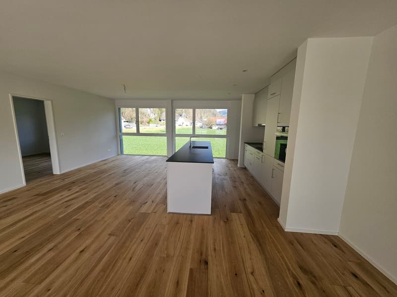 Notre dernière attique vous attend, 80m2 de terrasse et vue imprenable (5)