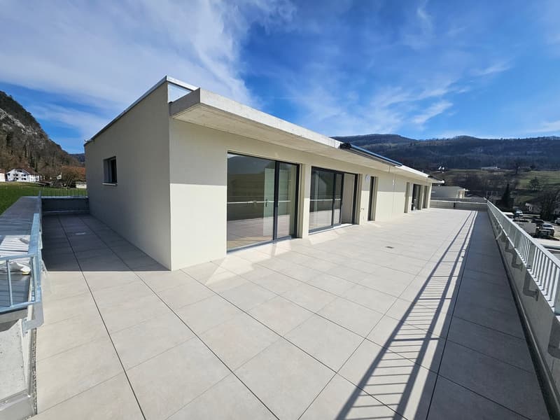 Notre dernière attique vous attend, 80m2 de terrasse et vue imprenable (3)