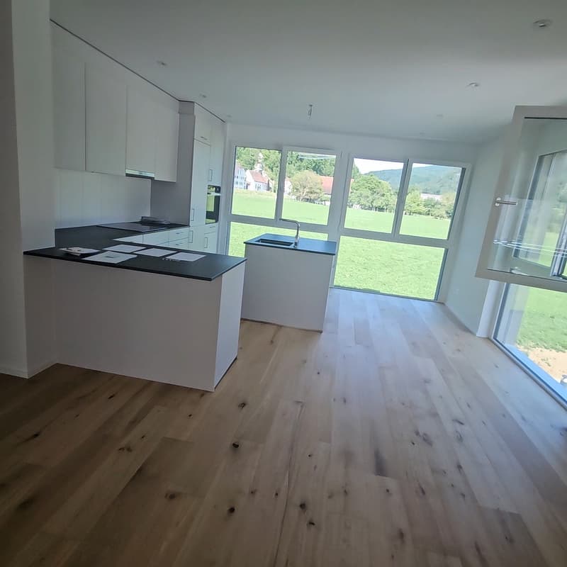 Appartement de 4,5 pièces au rez-de-chaussée 126 m2 au rez-de-chaussée à Balsthal (5)
