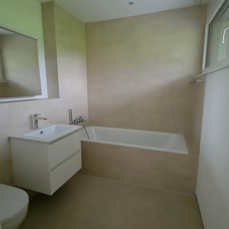 Appartement de 4,5 pièces au rez-de-chaussée 126 m2 au rez-de-chaussée à Balsthal (8)