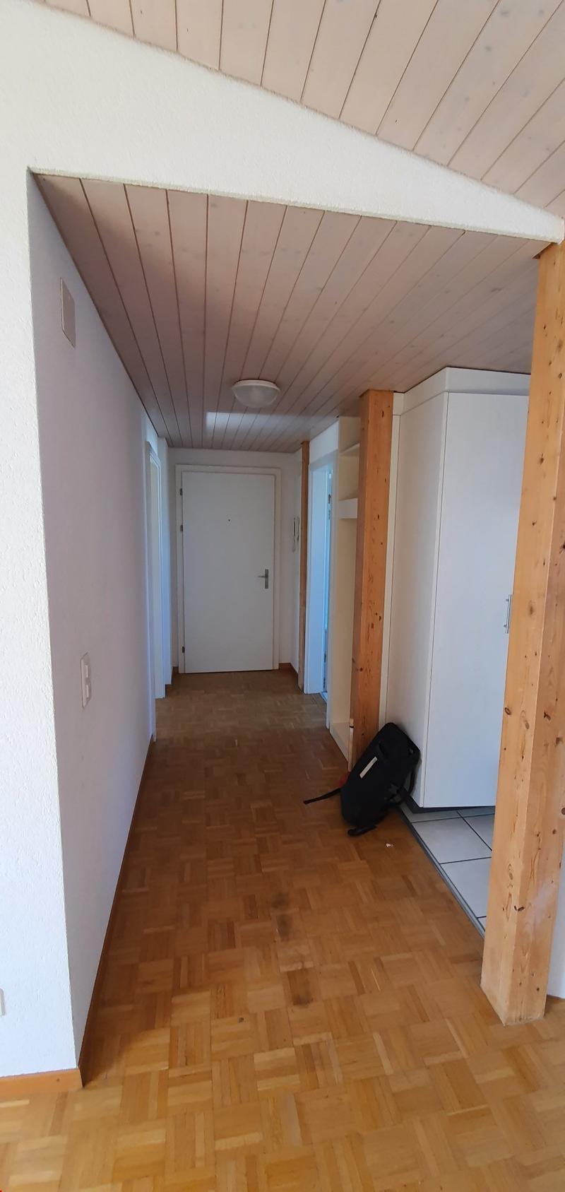 Charming 2.5-room attic apartment in Langendorf – with beautiful views! (5)