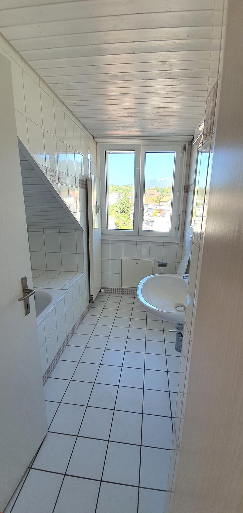 Charming 2.5-room attic apartment in Langendorf – with beautiful views! (6)