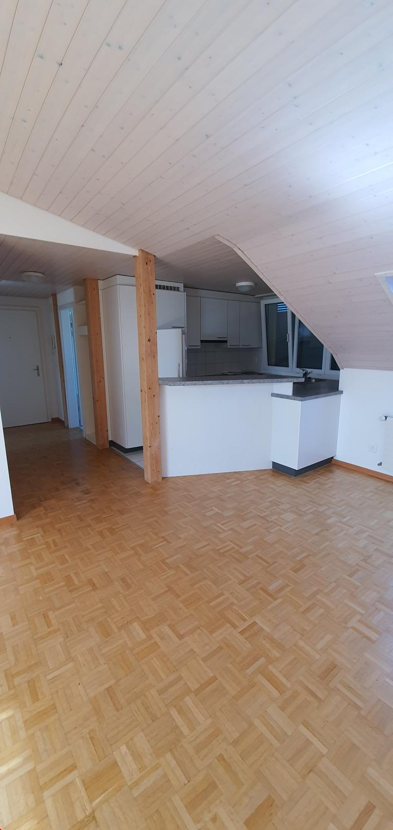 Charming 2.5-room attic apartment in Langendorf – with beautiful views! (2)