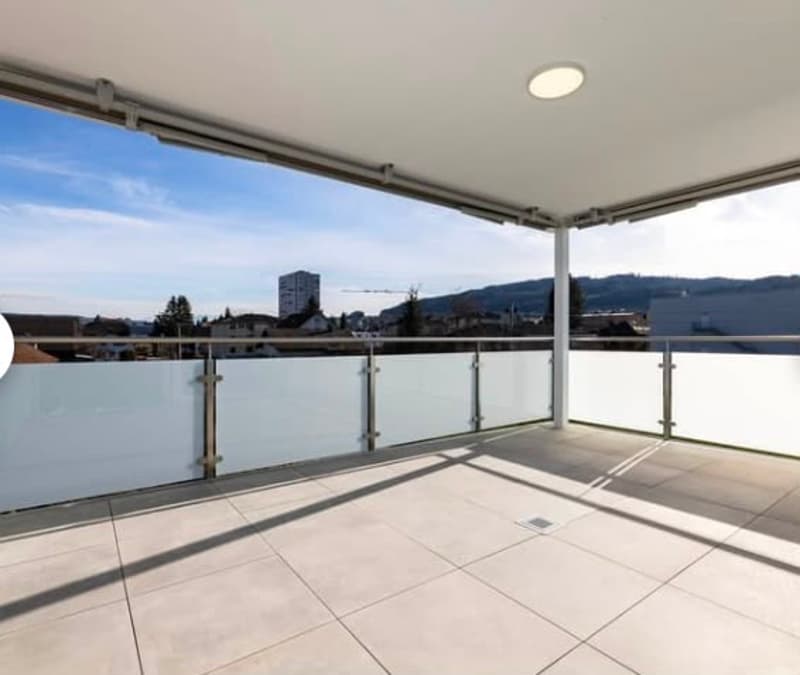 Moderne 3-Zimmer-Wohnung mit Balkon und herrlicher Aussicht in Reinach (1)