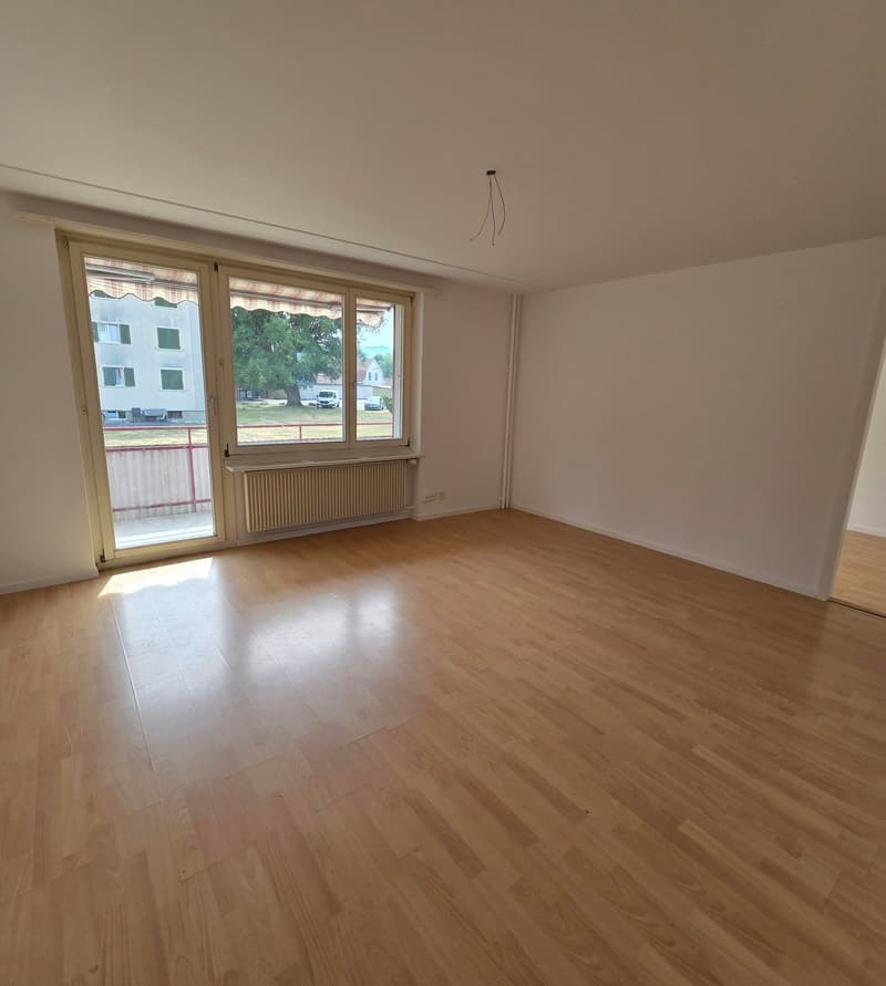 Appartement 4 pièces sympathique dans un quartier calme (3)
