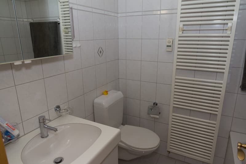 Appartamento di 4,5 locali al piano terra in zona verde (6)