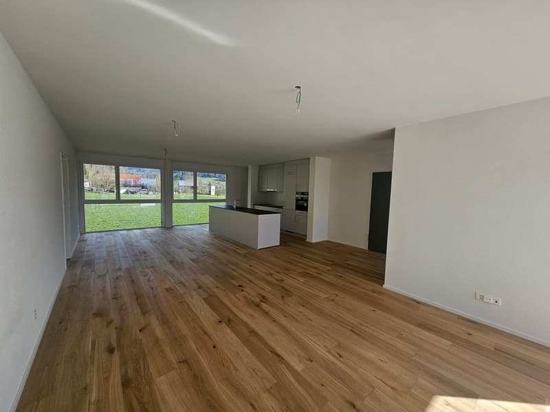 Unsere letzte Attika wartet auf Sie 80m2 Terrasse und toller Ausblick (5)