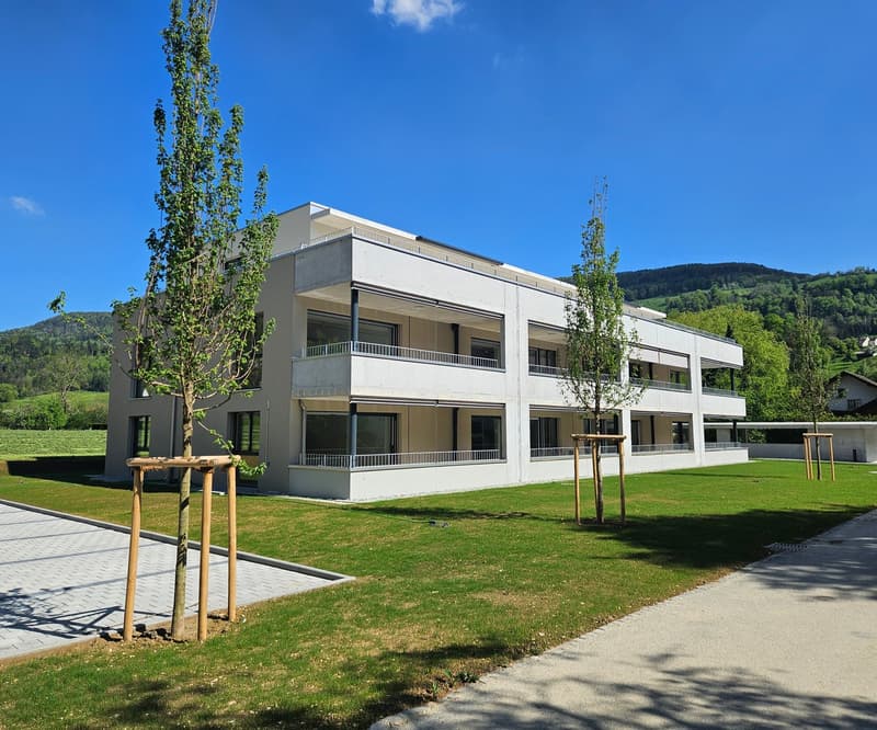 Unsere letzte Attika wartet auf Sie 80m2 Terrasse und toller Ausblick (15)
