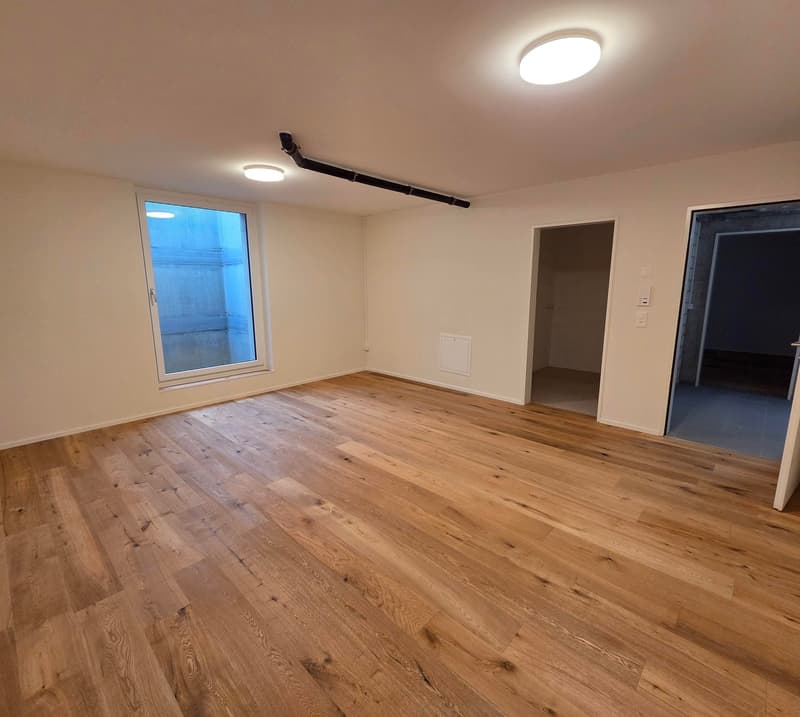 Modernes 1-Zimmer-Büro/Hobbyraum im Untergeschoss in Balsthal (6)