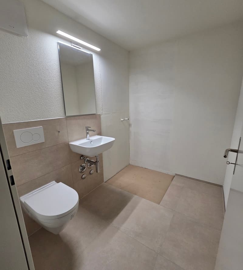 Modernes 1-Zimmer-Büro/Hobbyraum im Untergeschoss in Balsthal (7)