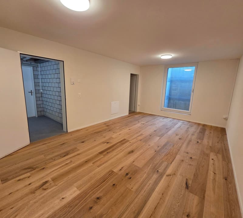 Modernes 1-Zimmer-Büro/Hobbyraum im Untergeschoss in Balsthal (5)