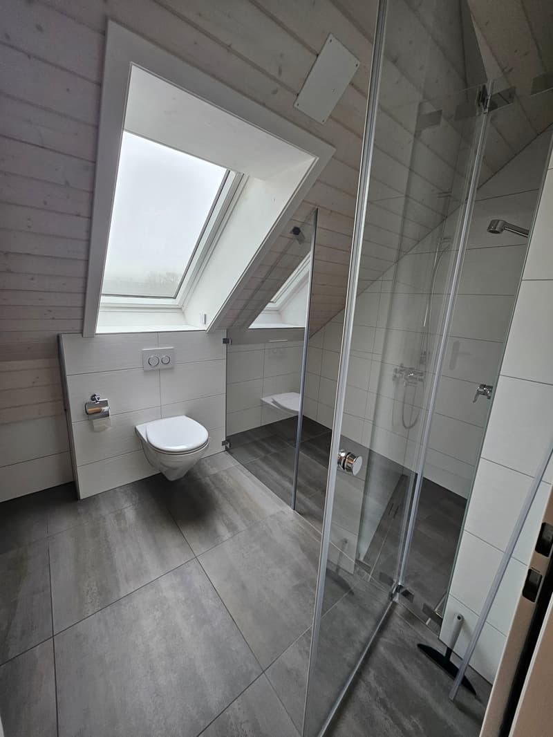 3.5 Zimmer Attikawohnung mit viel Charme (7)