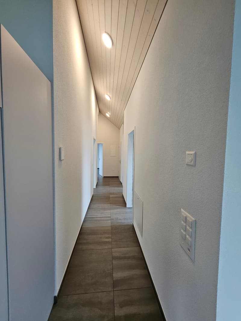 3.5 Zimmer Attikawohnung mit viel Charme (14)