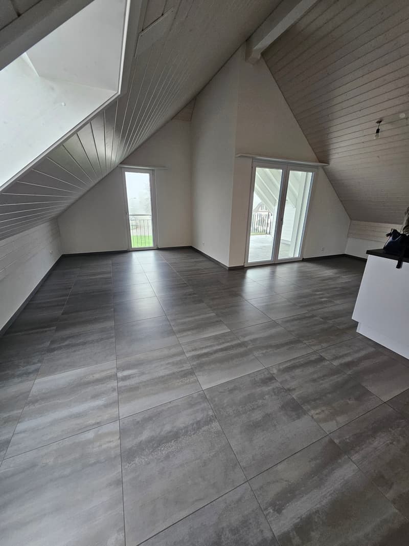3.5 Zimmer Attikawohnung mit viel Charme (3)