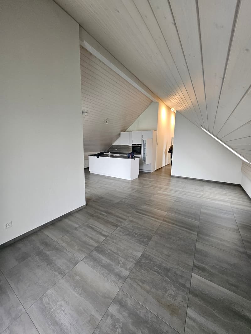 3.5 Zimmer Attikawohnung mit viel Charme (2)