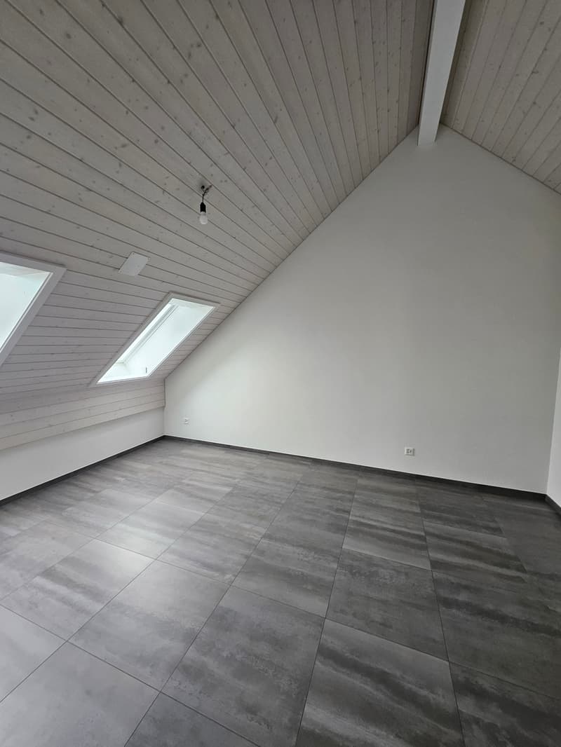 3.5 Zimmer Attikawohnung mit viel Charme (13)