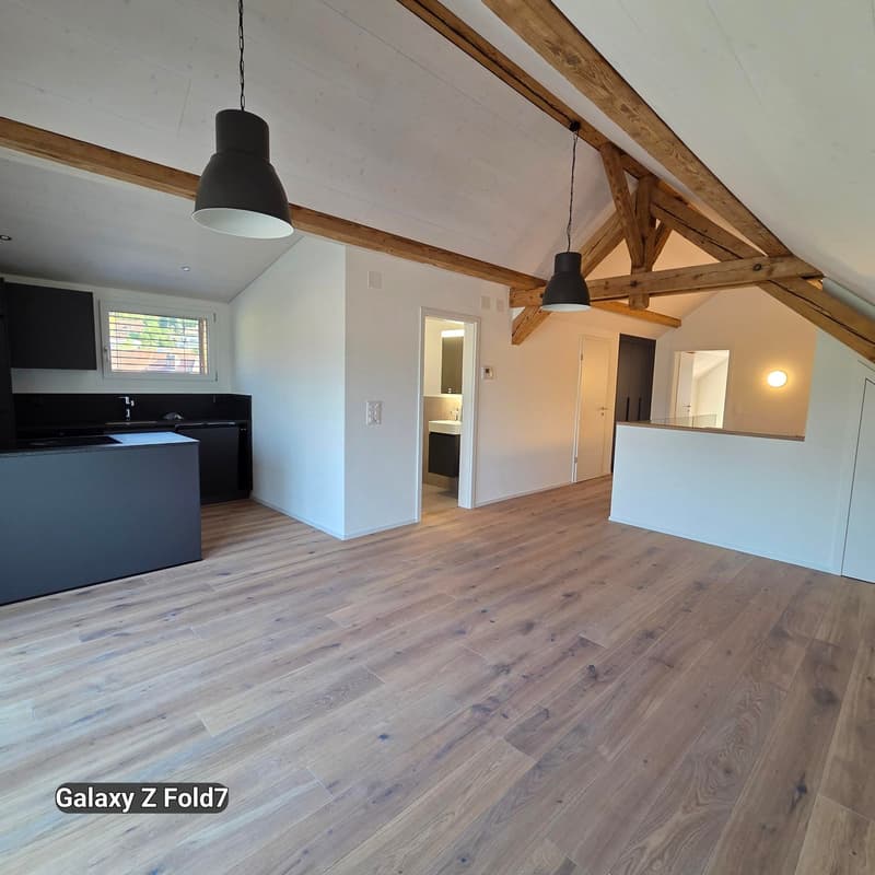 Charmante 2.5-Zimmer-Dachwohnung mit Bergblick in Oensingen (3)