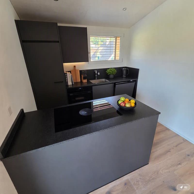Charmante 2.5-Zimmer-Dachwohnung mit Bergblick in Oensingen (4)