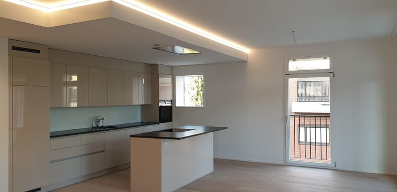 4.5 Zi Wohnung in modernem Design (2)