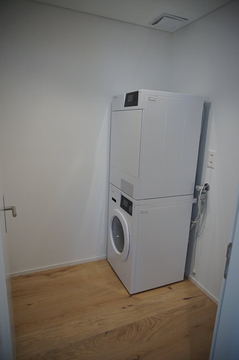 4.5 Zi Wohnung in modernem Design (10)