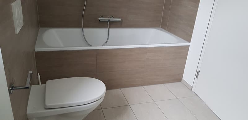 4.5 Zi Wohnung in modernem Design (7)