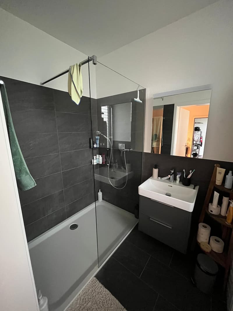 bathroom with glass door, white tiles, bathtub, shower, vanity with sink, mirror, shelf, towel rack, rug