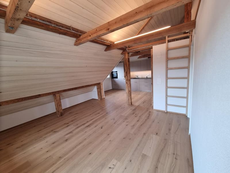 Wohnen in stilvoller Dachwohnung! (12)