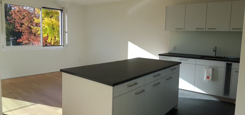 Moderne und helle 4.5-Zimmerwohnung an zentraler Lage (2)