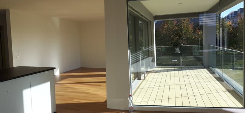 Moderne und helle 4.5-Zimmerwohnung an zentraler Lage (4)