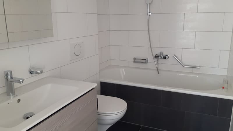 Moderne und helle 4.5-Zimmerwohnung an zentraler Lage (3)