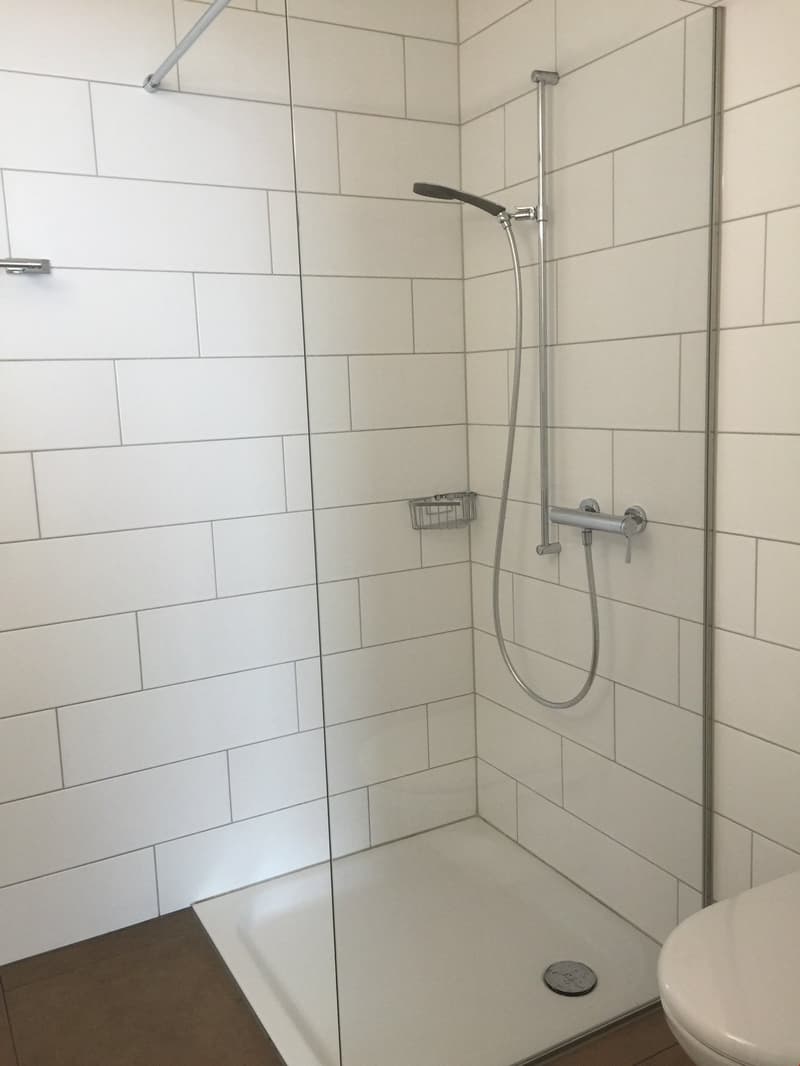 2.5-room apartment with intelligent floor plan in a conveniently located area (6)