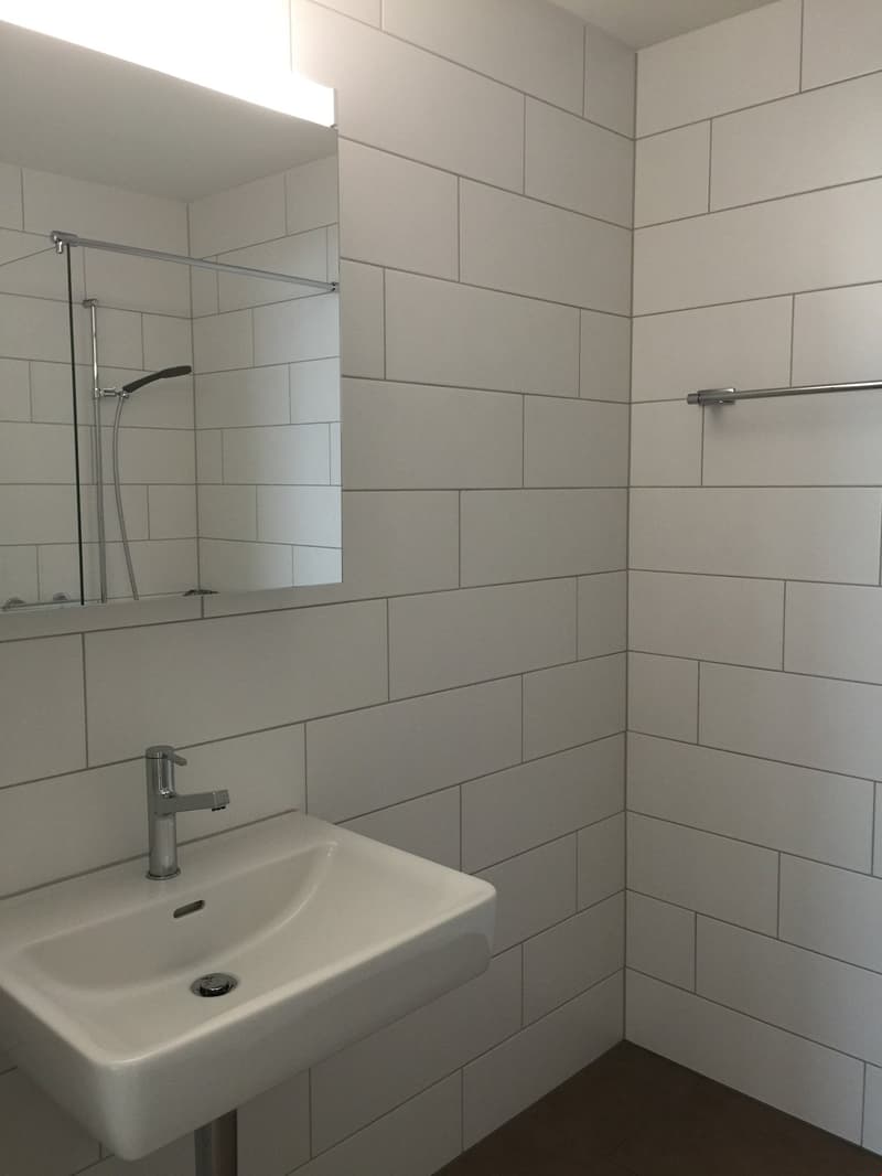 2.5-room apartment with intelligent floor plan in a conveniently located area (5)
