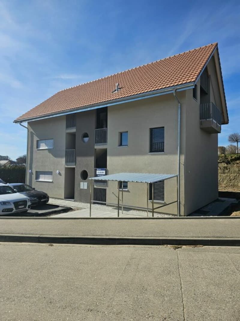 Appartamento di 2,5 locali al 2° piano con giardino comune (8)