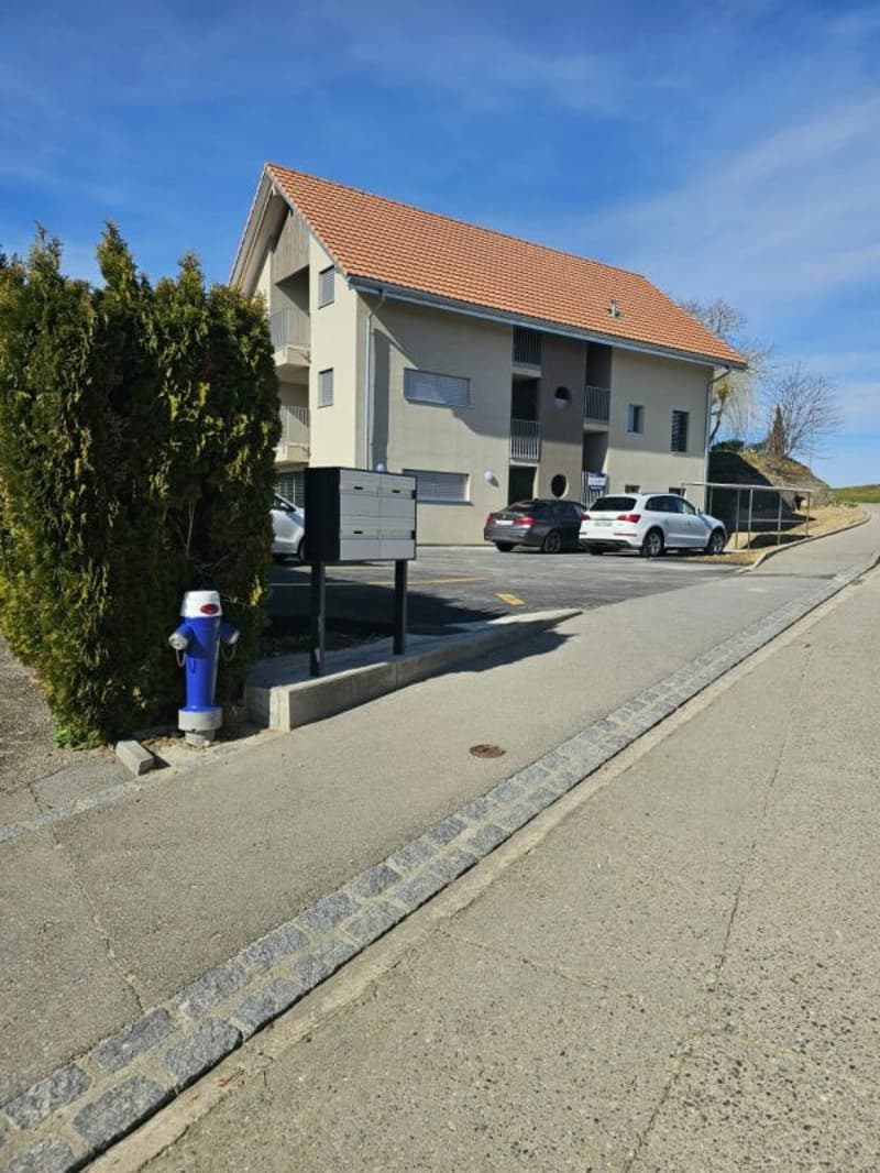 Appartamento di 2,5 locali al 2° piano con giardino comune (7)