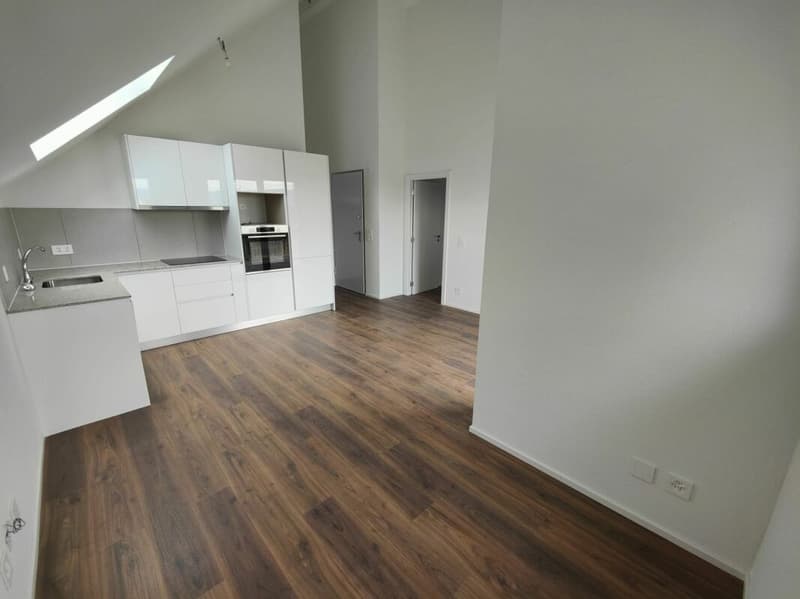 Appartamento di 2,5 locali al 2° piano con giardino comune (1)
