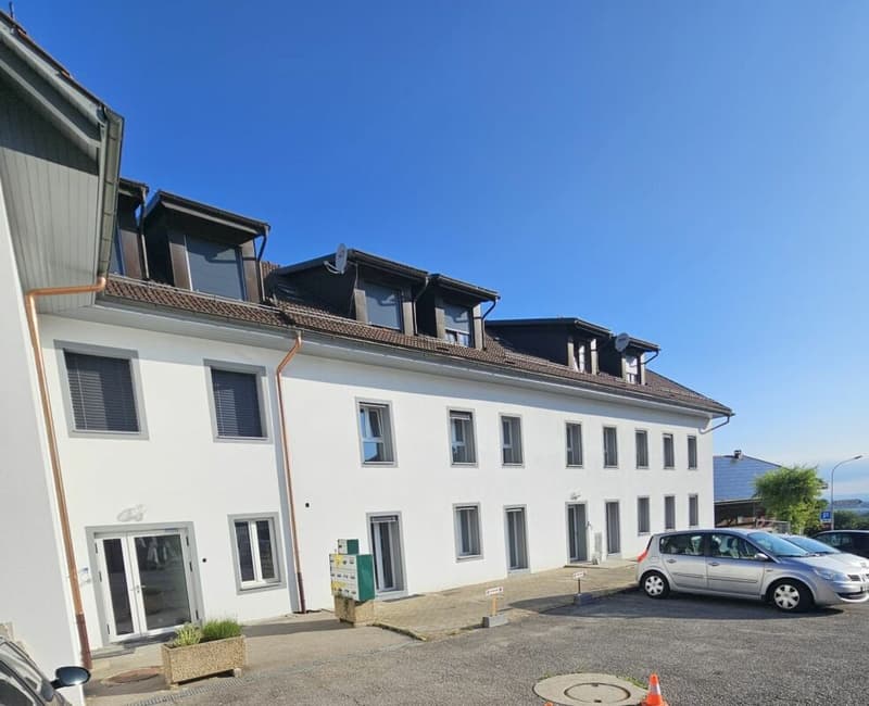 Magnifique studio à Vuisternens-en-Ogoz (1)