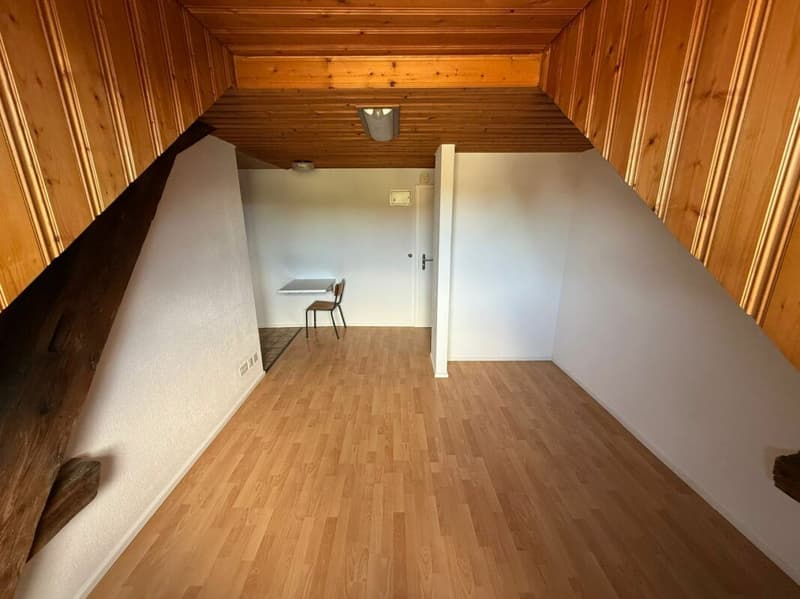 Magnifique studio à Vuisternens-en-Ogoz (3)
