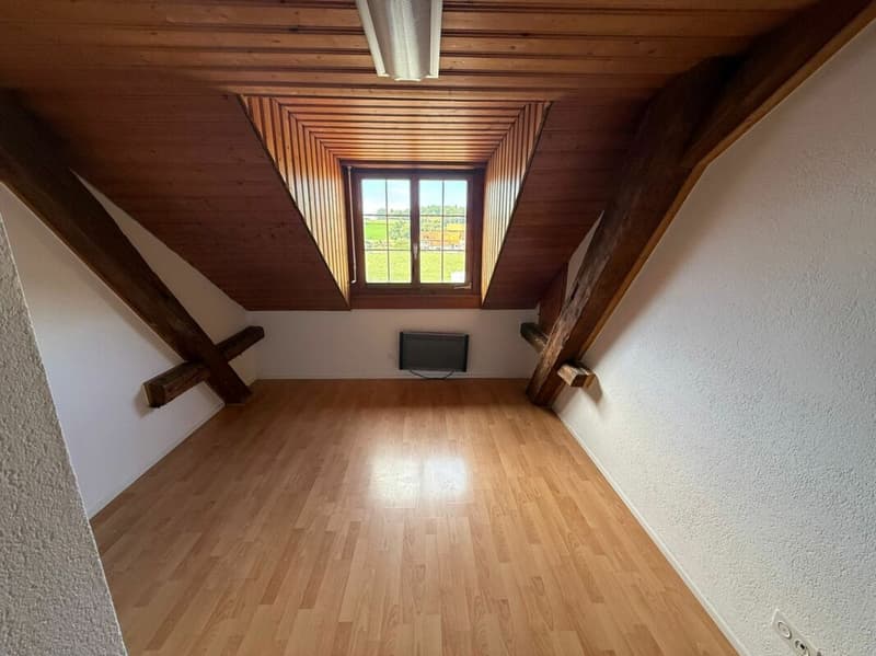 Magnifique studio à Vuisternens-en-Ogoz (4)