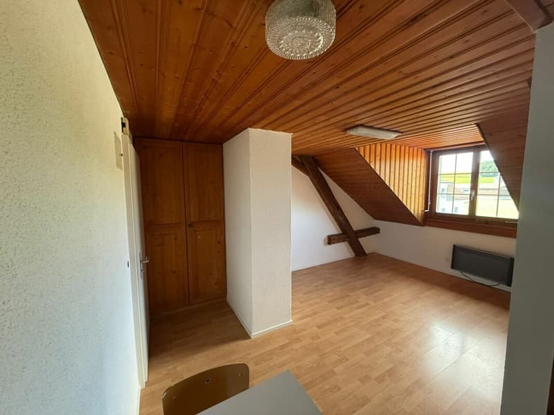 Magnifique studio à Vuisternens-en-Ogoz (2)