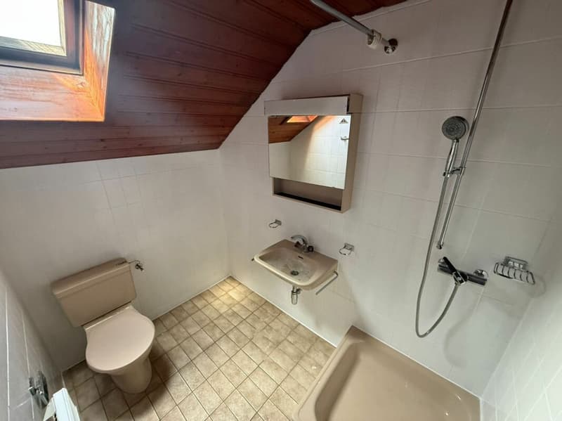 Magnifique studio à Vuisternens-en-Ogoz (6)