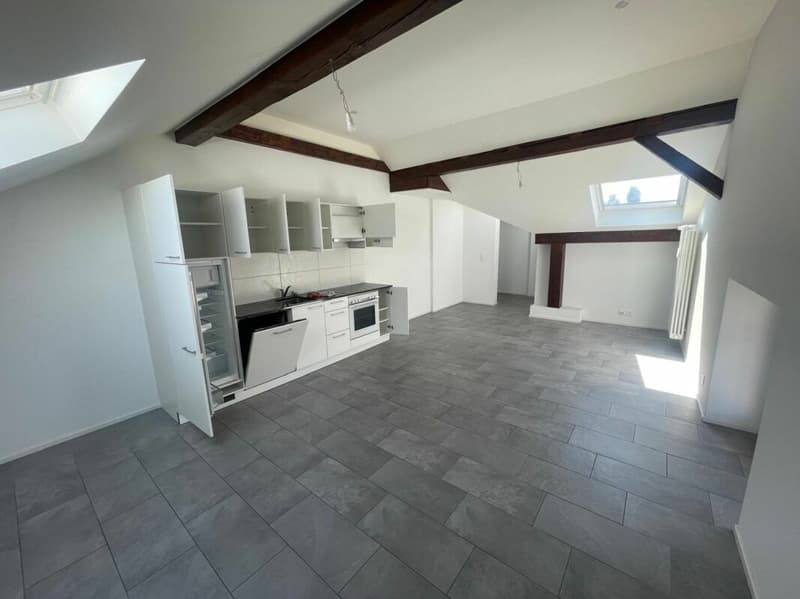 Appartamento ristrutturato di 3.5 locali al 3° piano con giardino comune (3)