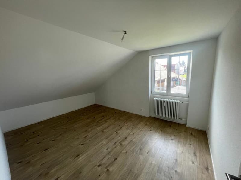 Appartamento ristrutturato di 3.5 locali al 3° piano con giardino comune (9)