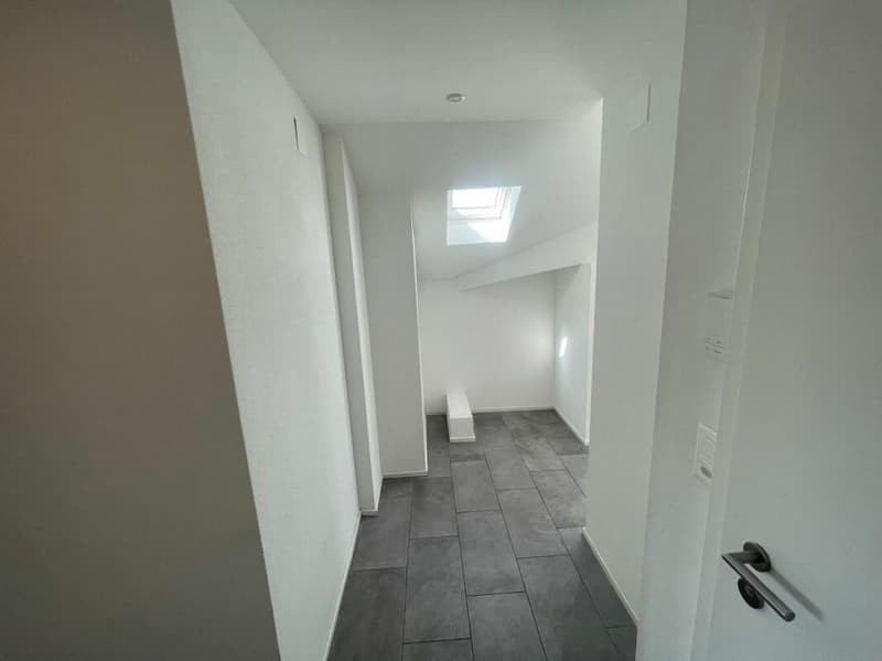 Appartamento ristrutturato di 3.5 locali al 3° piano con giardino comune (5)