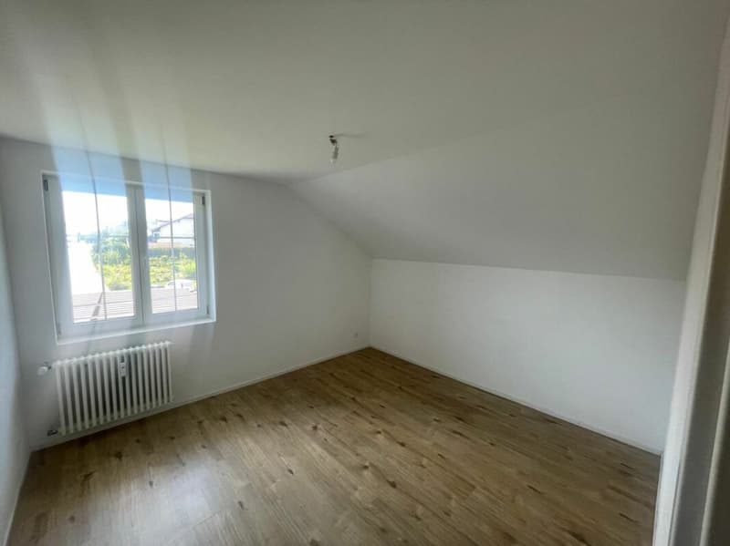 Appartamento ristrutturato di 3.5 locali al 3° piano con giardino comune (8)
