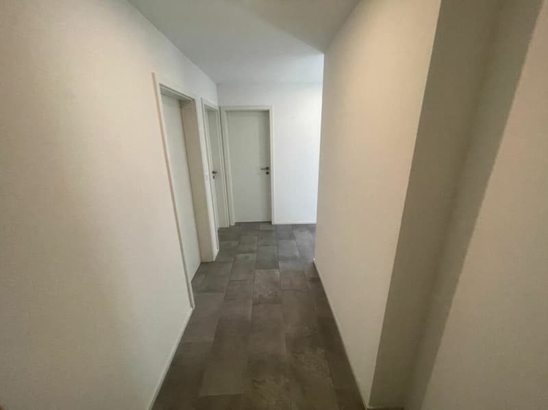 Appartamento ristrutturato di 3.5 locali al 3° piano con giardino comune (7)