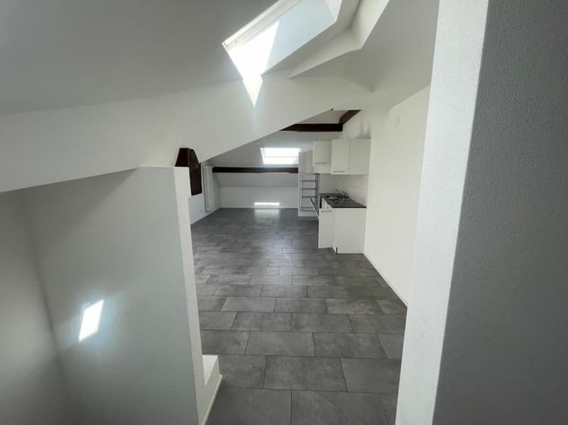 Appartamento ristrutturato di 3.5 locali al 3° piano con giardino comune (4)