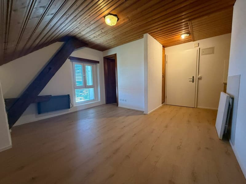 Magnifique studio à Vuisternens-en-Ogoz (2)