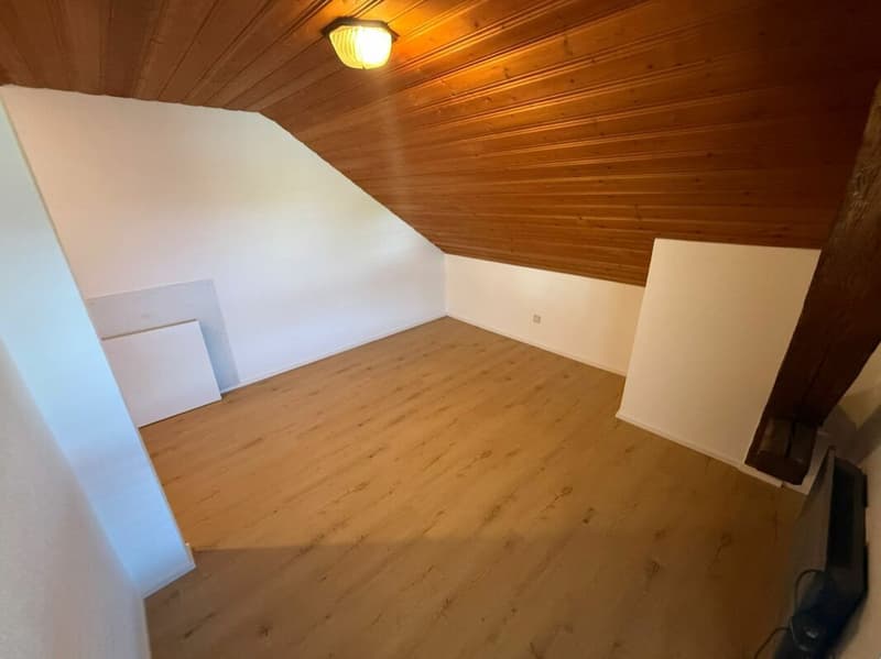 Magnifique studio à Vuisternens-en-Ogoz (3)