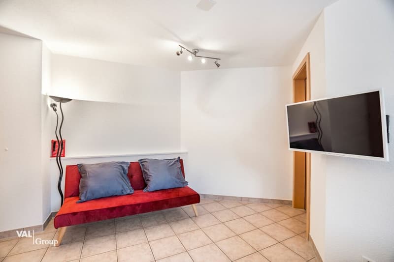 Appartement lumineux avec panorama de montagne et charme (6)