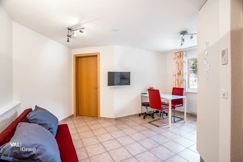 Appartement lumineux avec panorama de montagne et charme (3)